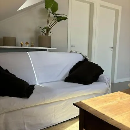 דירה Atico Con Terraza - Vista Al Mar סנשנשו